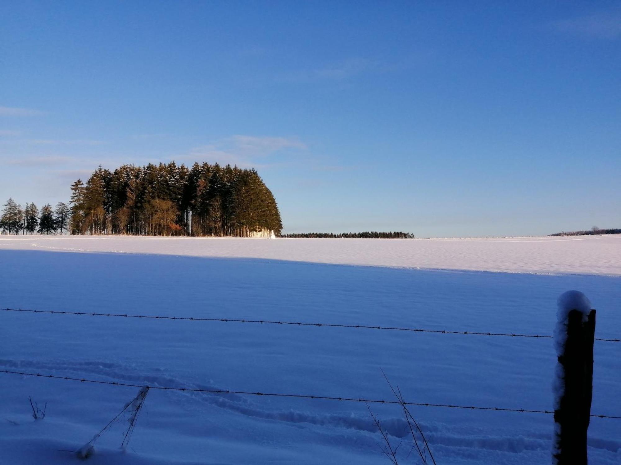 Sophisticated Holiday Home In Lierneux Near Forest エクステリア 写真