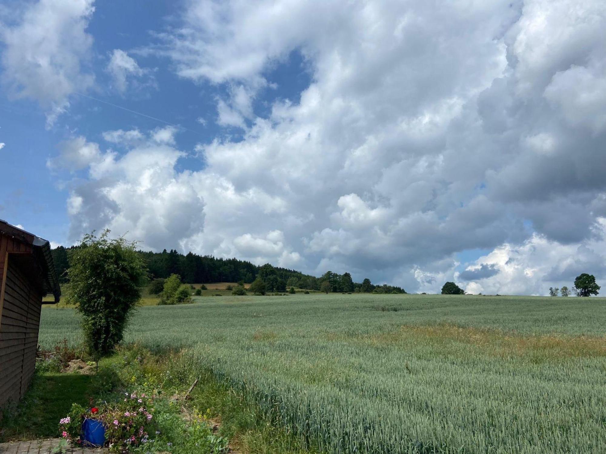 Sophisticated Holiday Home In Lierneux Near Forest エクステリア 写真