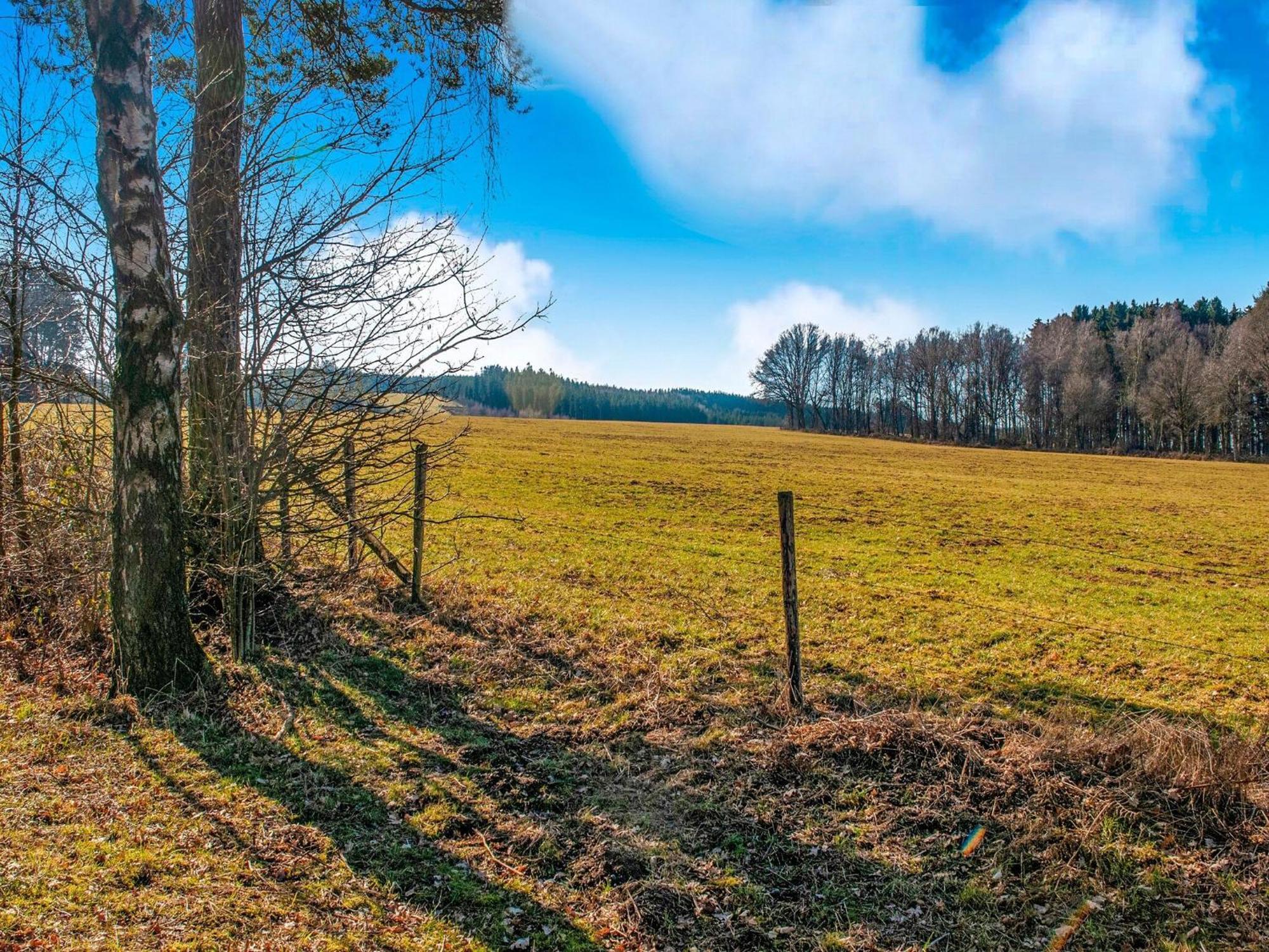 Sophisticated Holiday Home In Lierneux Near Forest エクステリア 写真