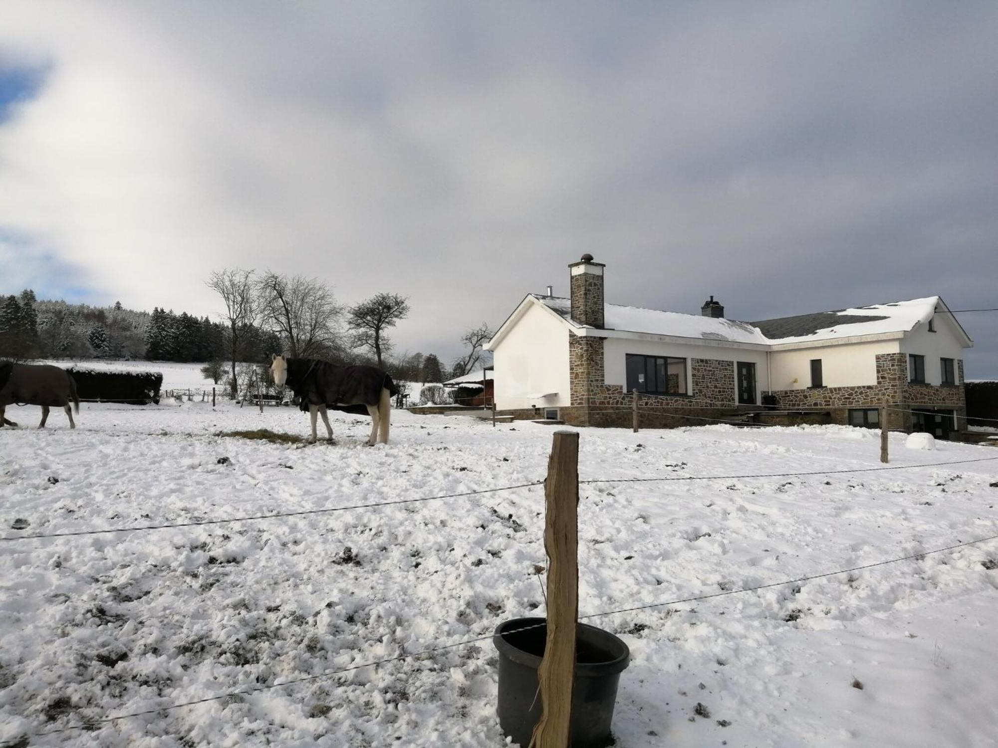Sophisticated Holiday Home In Lierneux Near Forest エクステリア 写真