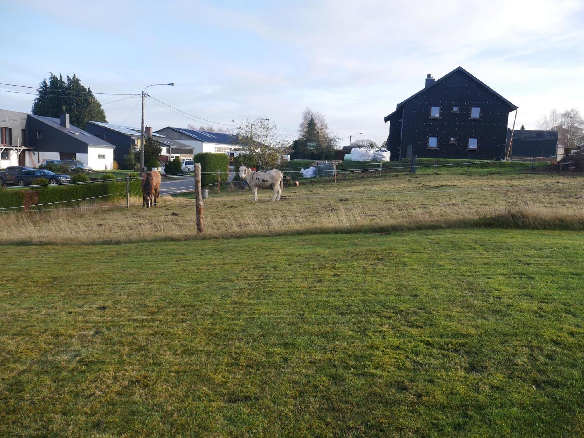 Sophisticated Holiday Home In Lierneux Near Forest エクステリア 写真