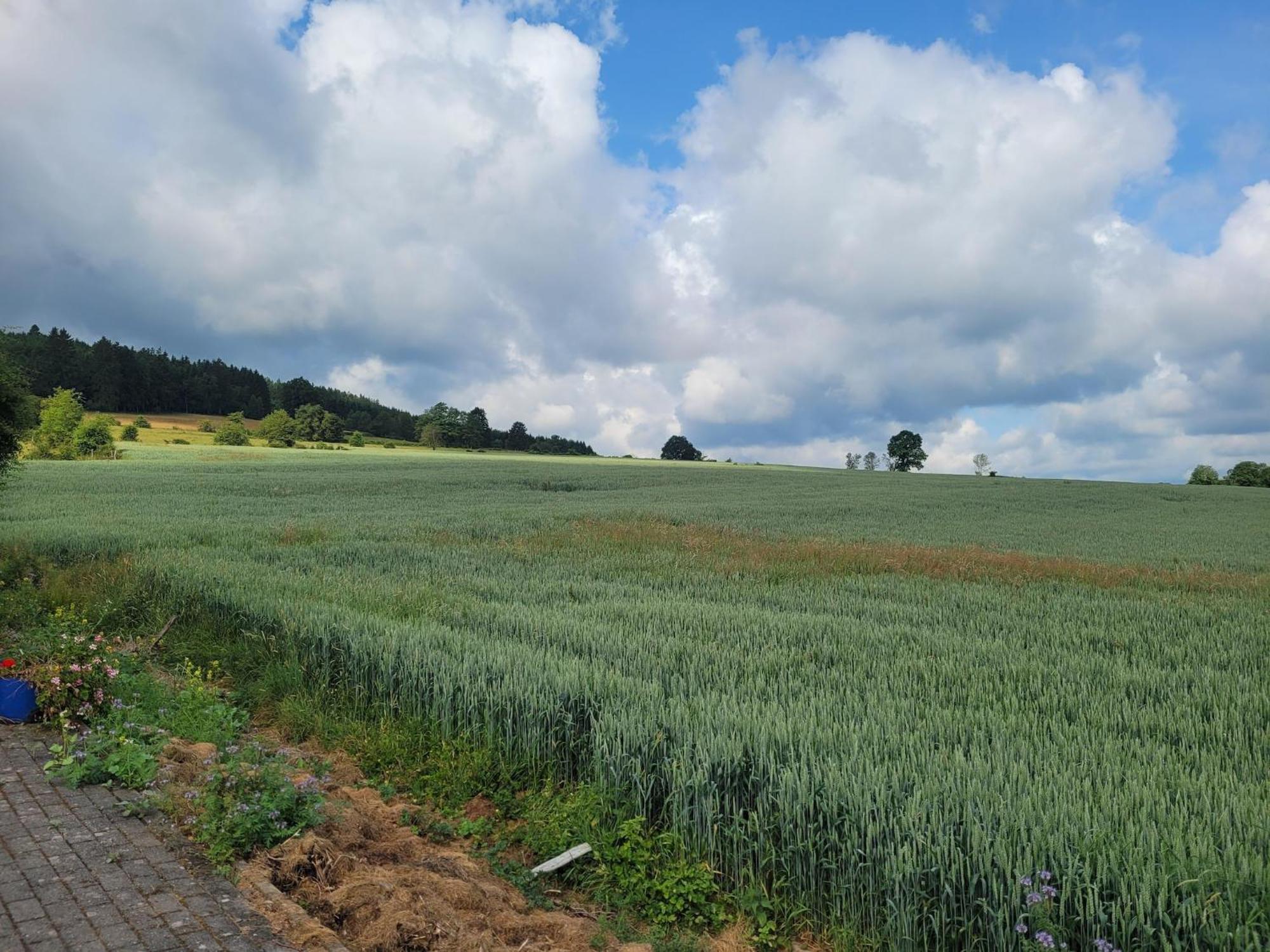 Sophisticated Holiday Home In Lierneux Near Forest エクステリア 写真