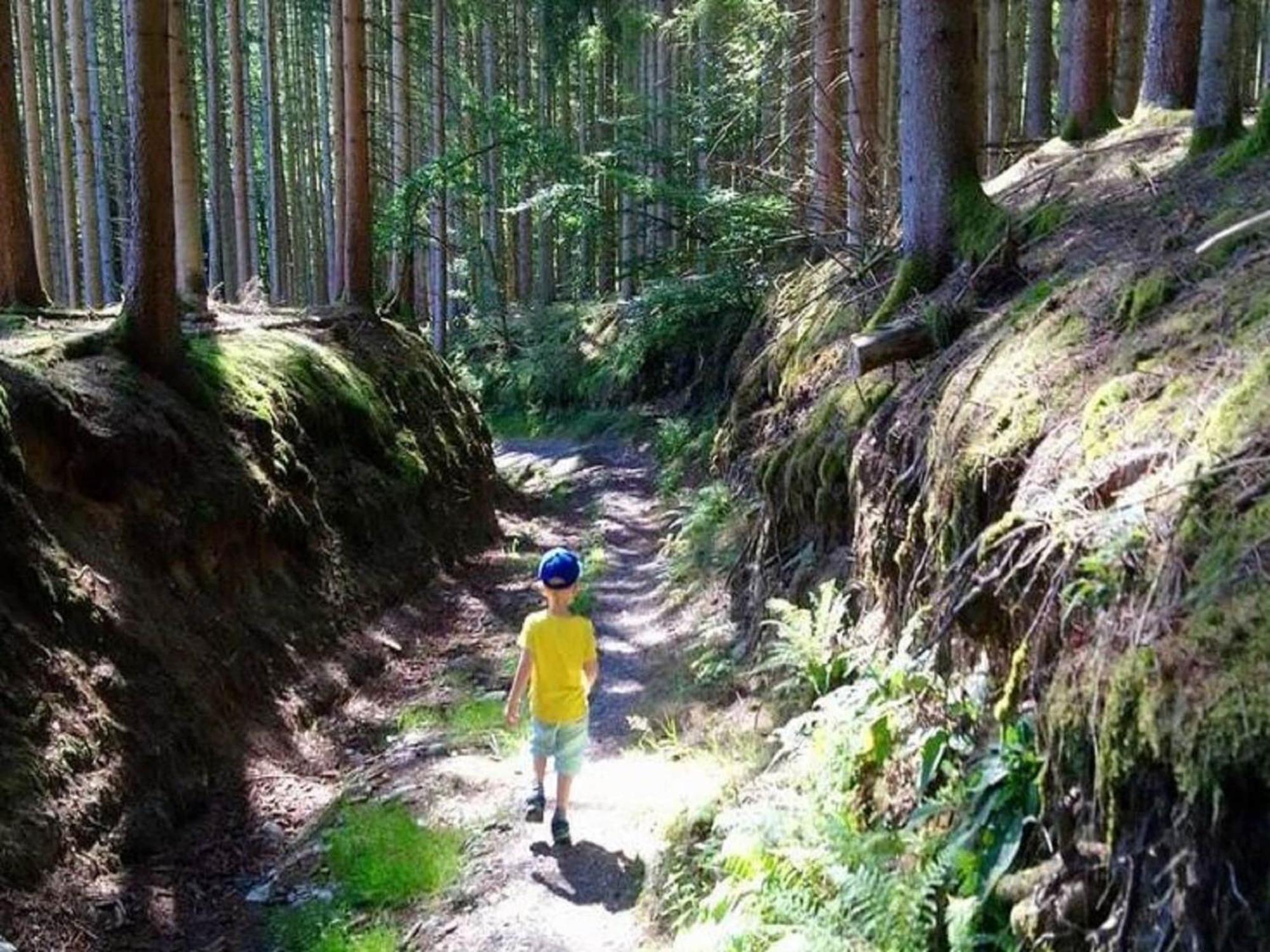 Sophisticated Holiday Home In Lierneux Near Forest エクステリア 写真